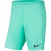 Kraťasy Nike Park III Knit Jr BV6865-354 - 128 cm