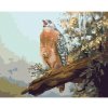 Diamondi Diamantové maľovanie - DRAVEC NA KONÁRI (D. RUSTY RUST) Rámovanie: vypnuté plátno na rám, Rozmer: 40x50 cm