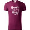 Harry - Hogwarts wasn’t hiring, so I teach Muggles instead - Tričko z organickej bavlny - XL ( Fuchsiová )
