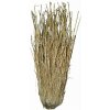 Lucky Reptile Grass Bushes 25-40 cm