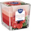 Aura candles Vonná sviečka v skle 'Hibiscus - white sage' 170 g
