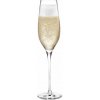 CABERNET Pohár na šampanské Holmegaard 6 x 290 ml