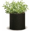 Keter Plastový kvetináč Ratan hnedá 28 x 28 x 28,3 cm