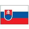 Slovenská vlajka - nalepovacie tetovanie