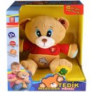 Teddies Medveď Tedík hovoriace plyš