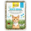 GimCat Soft-Gras tráva pre mačky 100 g