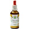 Salvia Paradise Ženšen pravý 6letý AF tinktura BIO 50 ml