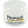 Health Care Products Vertriebs Propolisový balzam na pery 5 ml
