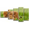 Sablio Obraz - 5-dílný Lev a Levica - 100x60 cm