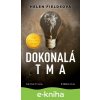 E-kniha Dokonalá tma - Helen Fields