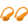 Apple Beats Powerbeats Pro 2