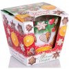 Bartek Candles Christmas Flavours - Christmas Delights 115 g