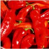 Paprika Lipari F1 - Capsicum annuum - semená - 5 ks