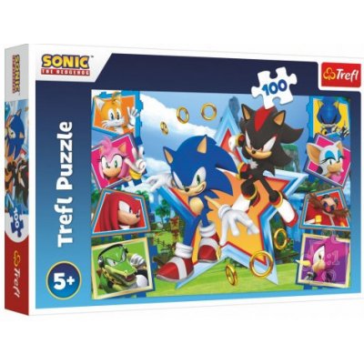 Trefl Puzzle Zoznámte sa so Sonicom/Sonic the Hedgehog 100 dielikov 41x27,5cm v krabici 29x19x4cm