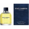 Dolce & Gabbana Pour Homme toaletná voda pánska 75 ml, 75 ml