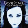 Evanescence: Fallen - Vinyl (LP)
