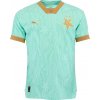 Pánsky dres Puma, SKS AWAY JERSEY PROMO svetlo zelená,zlatá S
