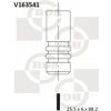 Výpustný ventil BGA V163541
