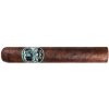 Asylum Schizo Maduro Robusto (20)