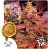 Dutch Passion Pink Banana Runtz Limited Edition semena neobsahují THC 5 ks