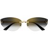 Cartier CT0431S 001