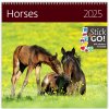 Horses 30 x 30 cm 2025