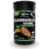 HAQUOSS Haquoss Gammarus krmivo pre korytnačky 1000ml