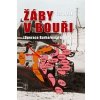 Žáby v bouři Operace Barbarossa naruby - Drnek Jan
