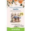 E-kniha Pod hviezdami Paríža - Karolina Schutzer