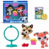 Littlest Pet Shop: Jumpin' Joy súprava figúrok, séria 2 - 2 ks.