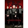 Not the Life It Seems: The True Lives of My Chemical Romance