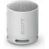 Sony SRS-XB100, sivá SRSXB100H.CE7