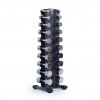 TRINFIT Dumbbell Rack Tower Stojan na jednoručky