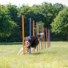Trixie Agility slalom,tyče 12ks 3,3/115cm