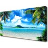 Obraz Canvas Palmy more tropický ostrov 100x50 cm