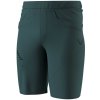 Pánske kraťasy Dynafit Traverse Hybrid Shorts M Veľkosť: M / Farba: modrá