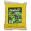 Lucerna siata Gea 500 g