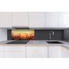 DIMEX | Dibond doska za kuchynskú linku | DBW-08040-130 Kvetinové pole| 80 x 40 cm + Dibond obkladová doska Dimex do kuchyne Kvetinové polev rozmere 80 x 40 cm