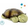 Cloud B Cloud b® Twilight Turtle™- Nočné svetielko, Korytnačka, zelená, 0m+