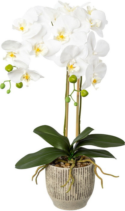 Umelá kvetina Orchidea biela v kvetináči, 55cm