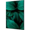 Jansen Display Textilné dekorácie na stenu A1 Listy rastlín Zelená, 594 x 841 mm