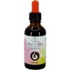 Dračia krv Sangre de Drago 50 ml