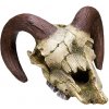 Kvalitná dekorácia do všetkých typov akvárií Nobby Ram Skull - Barania lebka 17,5x16x9,5cm