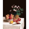 ZUTY Maľovanie podľa čísel - ZÁTIŠIE, PRVOSIENKY, HRUŠKY A GRANÁTOVÉ JABLKÁ (HENRI FANTIN-LATOUR) Rámovanie: vypnuté plátno na rám, Rozmer: 40x50 cm