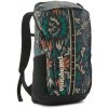 Batoh Patagonia Black Hole Pack 25L