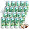 20 x Prírodná voda z mladého kokosu Coconaut 320 ml