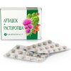 Biokor Artičoka + Pestrec mariánsky 30 tabliet po 500mg