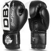 Boxerské rukavice DBX BUSHIDO B-2v20 Veľkosť: 12oz