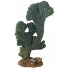 HOBBY Kaktus Victoria 2, 22 cm