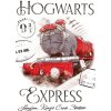 Carbotex Detský uterák Harry Potter Rokfortský Express 30x50 cm